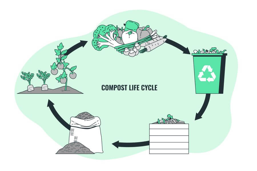 Can You Compost McDonald's Boxes 2 (1)